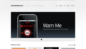 Neuromodule
