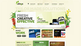 Alinga | Gold Coast Web Design