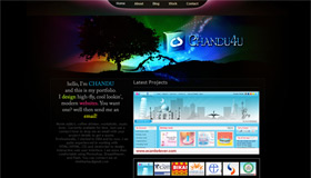 Chandu4U | Web Designer
