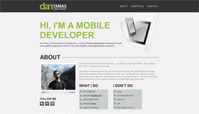Dan Tamas | Web Designer