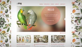 Heather Waller | Web Designer