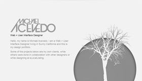 Michael Acevedo | Web Designer