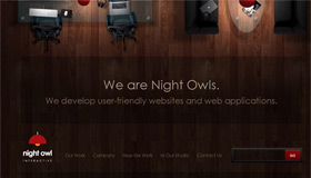 Night Owl Interactive | Web Design