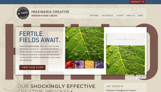 Imaginaria Creative - Folio Focus